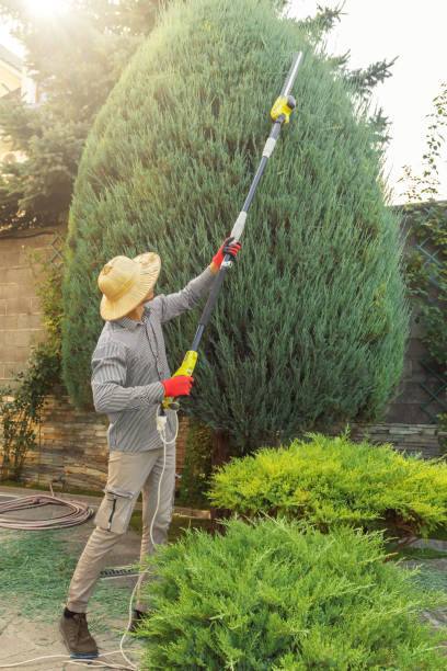 Best Arborist Consultation Services  in Nd Point, WI